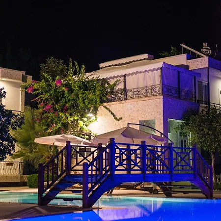 Sofia 4*